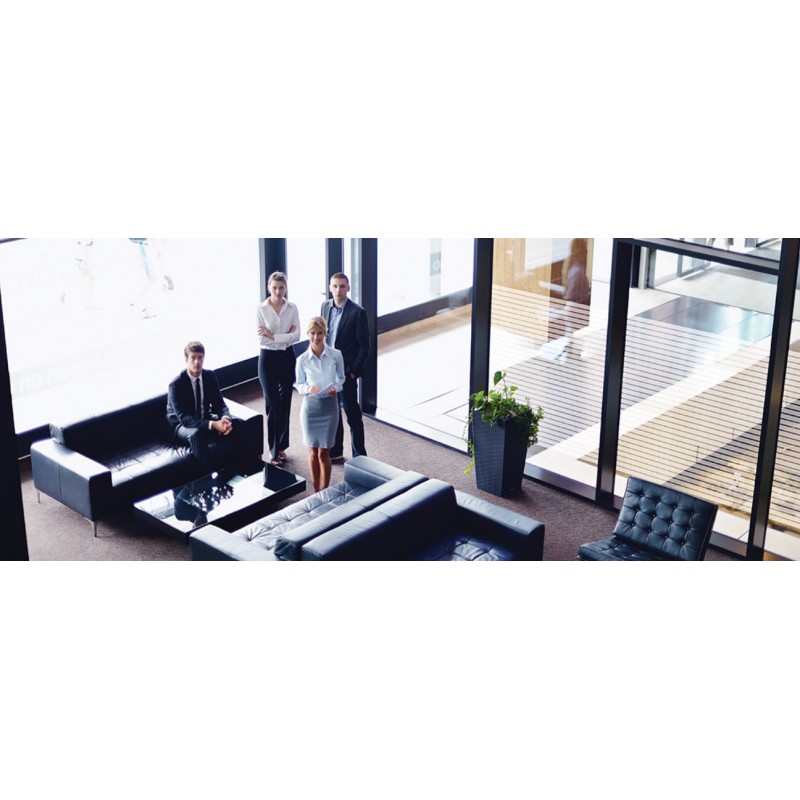 Плёнка самоклеющаяся Europa (иней линиями) купить Плёнка самоклеющаяся Europa (иней линиями) купить