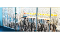 Пленка самоклеящаяся FLORAL Solar Screen  30,5 м/152см/40mic